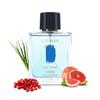 Marina Vibes | Fresh & Aquatic Perfume for Men | Eau De Parfum | Citrus-flavoured Scent | Perfect for Office | Crisp & Compact Scent, 100 Ml