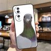 Чехол с голубями для Honor Magic 8 Lite 5 6 7 Pro Honor Win RT 400 200 50 70 90 X8c X9a X9b X9c X9d Чехол