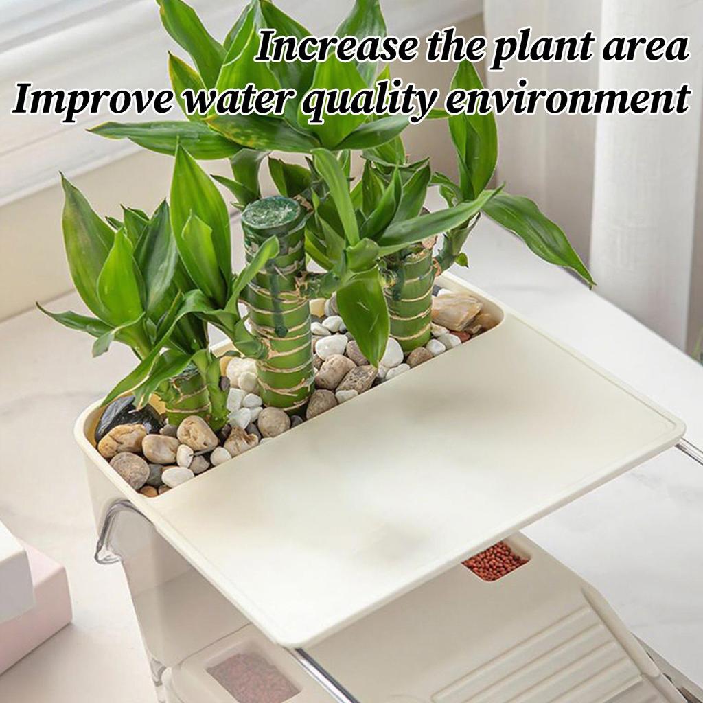 Аквариум для черепах Многофункциональный аквариум Прозрачный террариум для раков-отшельников, лягушек, рептилий, черепах. Среда обитания. Место для баскинга.