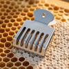 5pcs Durable Queen Bee Catcher Silver Queen Bee Cage Easy to Use Queen Bee Clip  Apiculture