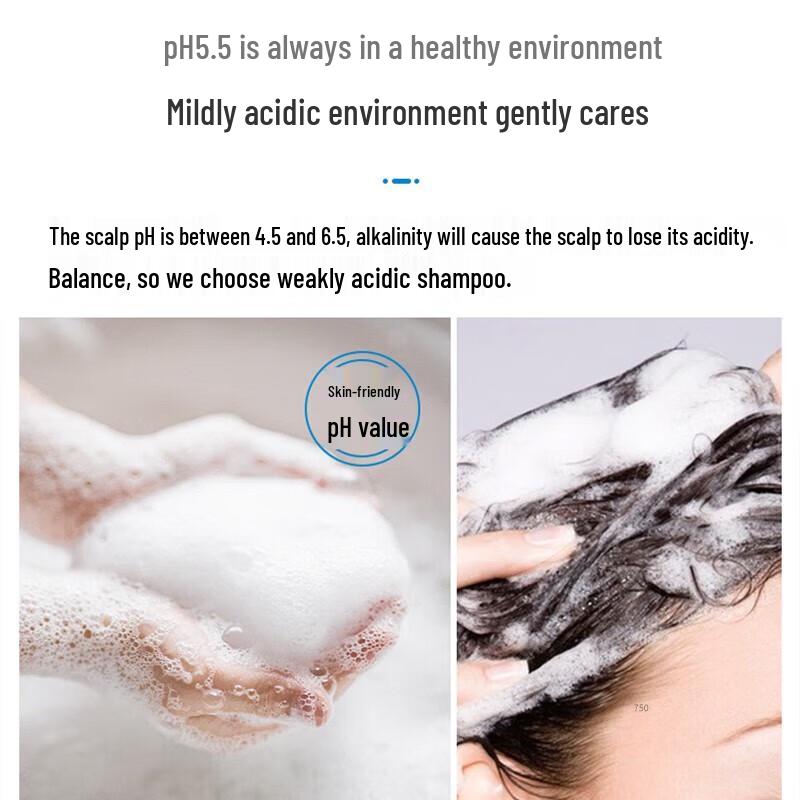 B2V Black Algae Frizz Repair Shampoo