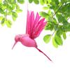 Bird Pendant Realistic Looking Anti-fading Feather Living Room Fake Hummingbird Pendant Home Decor Daily Use