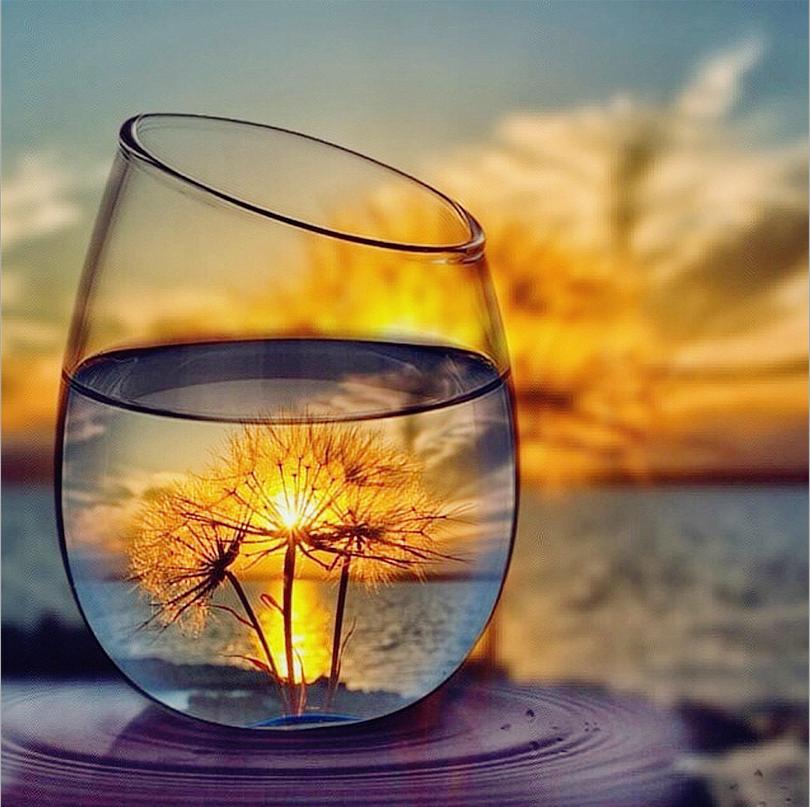 DIY 5D алмазная картина жираф алмазная вышивка мозаика стразы животное вышивка крестом полный круглый сверло ручной художественный домашний декор