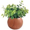 Киджапан Искусственное растение эвкалипта, Фотокаталитическое, Горшок с текстурой натурального дерева, 14 см диаметр x 15 см высота (Горшок диаметром 7 см), Коричневый, 419488