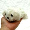 Little Beans Maltese Plush Toy 13cm