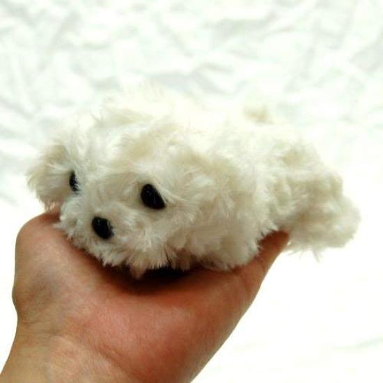 Little Beans Maltese Plush Toy 13cm