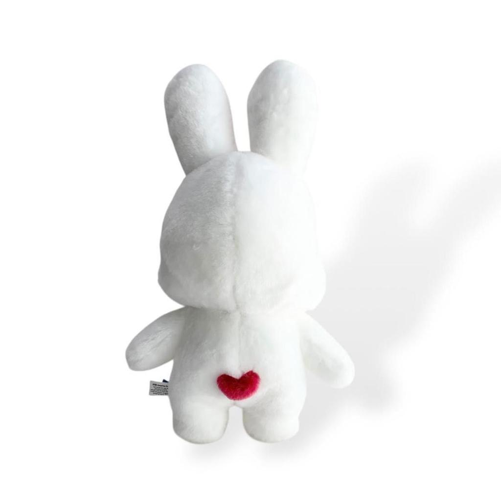 [USED] Mini Teen Seventeen ChaeCherry Seungcheol S.Coups Plush Toy