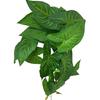 Simulated Plant Realistic Filming Prop Multi-purpose Practical No Wither Imitation for Office Use
