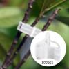 100 шт. садовых зажимов для прививки баклажанов, простая в использовании томатная шпалера для фасоли