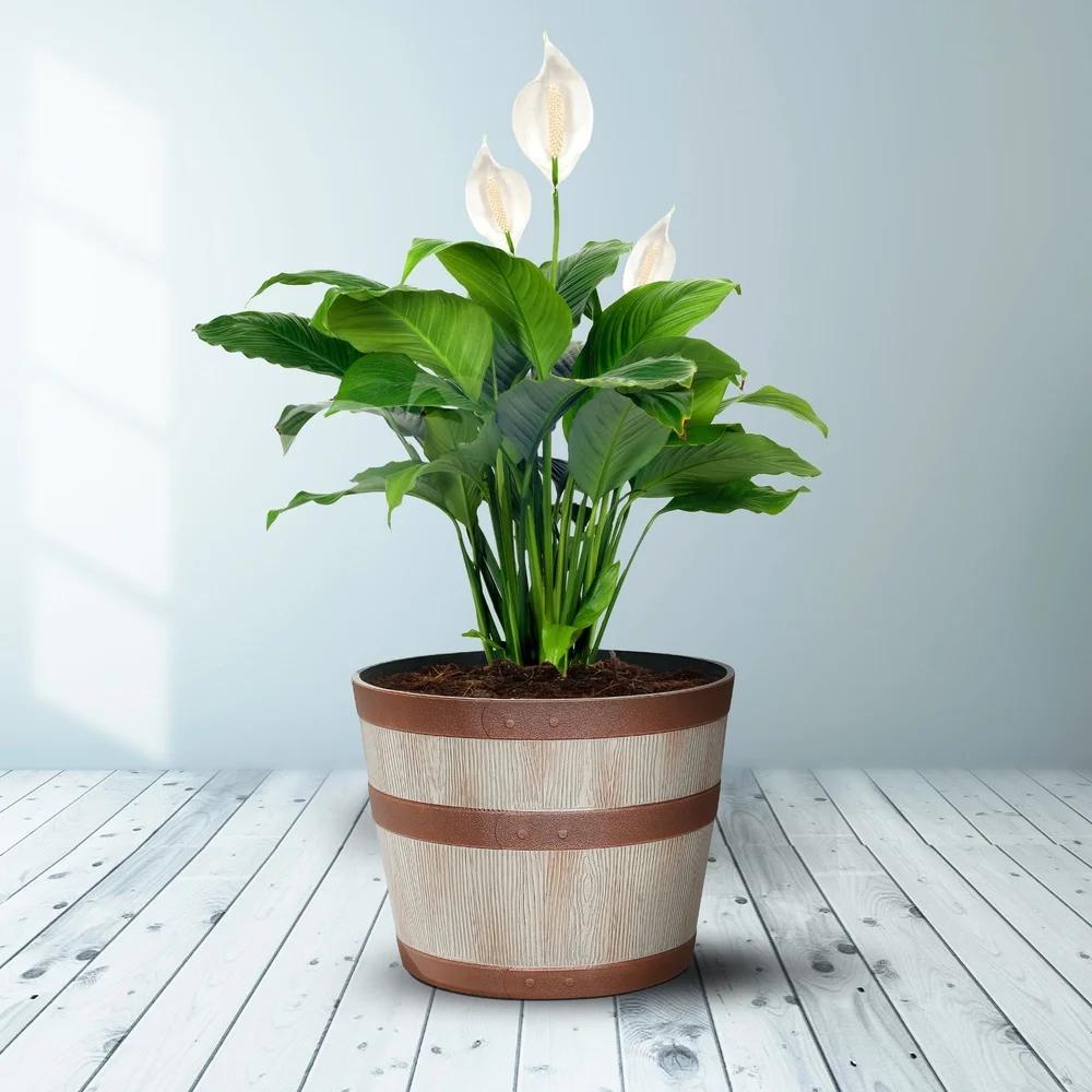 Резиновый горшок под виски, прочный, для помещений и улицы, круглый, с дренажными отверстиями, морозостойкий, легкий, простой в уходе