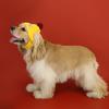 Knitted Dog Hat Cat Pompon Hat Winter Warm Hat with Ear Holes for Small
