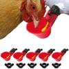 Bowl Drinker Cups Poultry Tools Chicken Drinker Fowl Drinker Birds Water Bowl Poultry Waterer