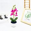Potted Simulated Phalaenopsis Artificial Artificial Flower Desktop Ornament