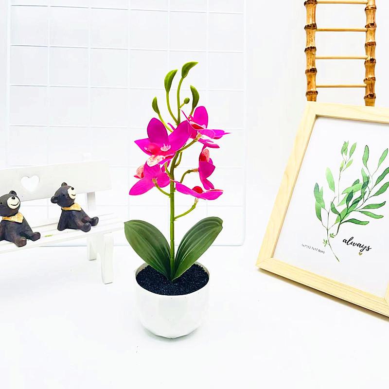 Potted Simulated Phalaenopsis Artificial Artificial Flower Desktop Ornament