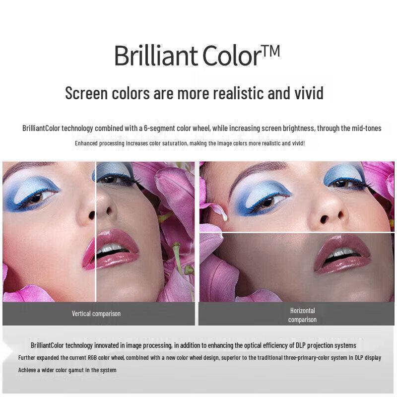 Optoma LNX7065 Home & Business DLP Projector (CN version)