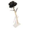 Preserved Rose 24K Gold Plated Bright Luster Rich Details Naturally Gold Dipped Rose with Holder