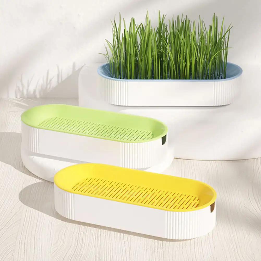 Hydroponic Seedling Tray Creative Cat Snack Catnip Growing Pot Reusable Garden Catnip Growing Bowl Pet Supplies