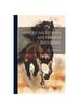Книга American Horses and Horse Breeding