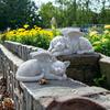 Personalized Angel Cat Memorial Statue Resin Pet Sculpture with Angel Wings for Garden Outdoor Tombstone Marker Emotional Gifts