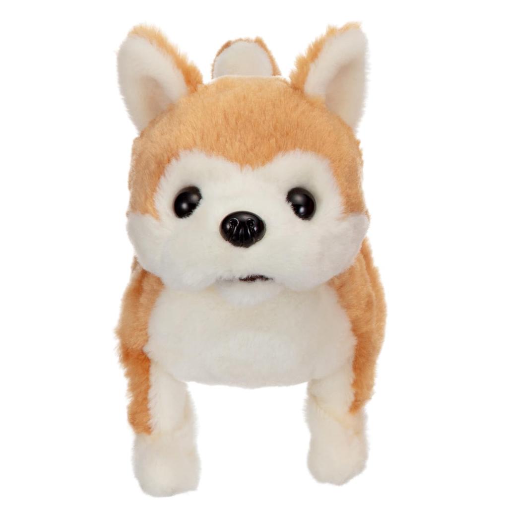 Iwaya Piccoline Akita ST Mark Plush Toy for Ages 3 and Up Inu, Certified, Battery-Operated