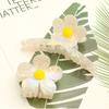 Headwear Women Headdress Girls Korean Style Hair Clip Hair Accessories Crab Clip Flower Hair Claw