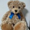 [USED] Honey Teddy Bear
