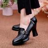 Waterproof Women High Heels Pointed Toe Women's Casual Shoes New Platform Thick Women Heel Shoes Women's High Heel Leather Shoes