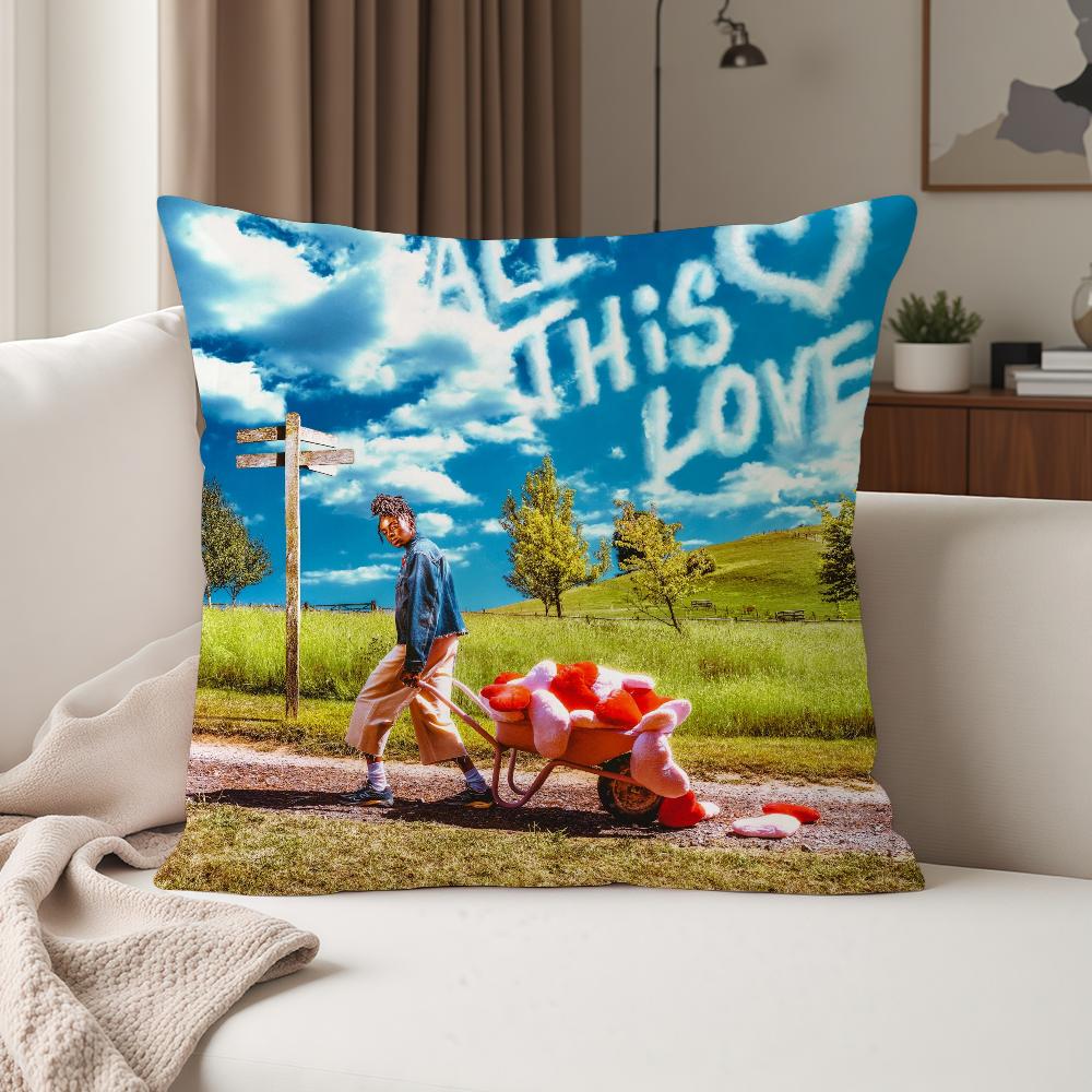 Singer Cat B-burns How To Be Human Pillow Case Suitable For Bedrooms Living Rooms Cars Home Decoration