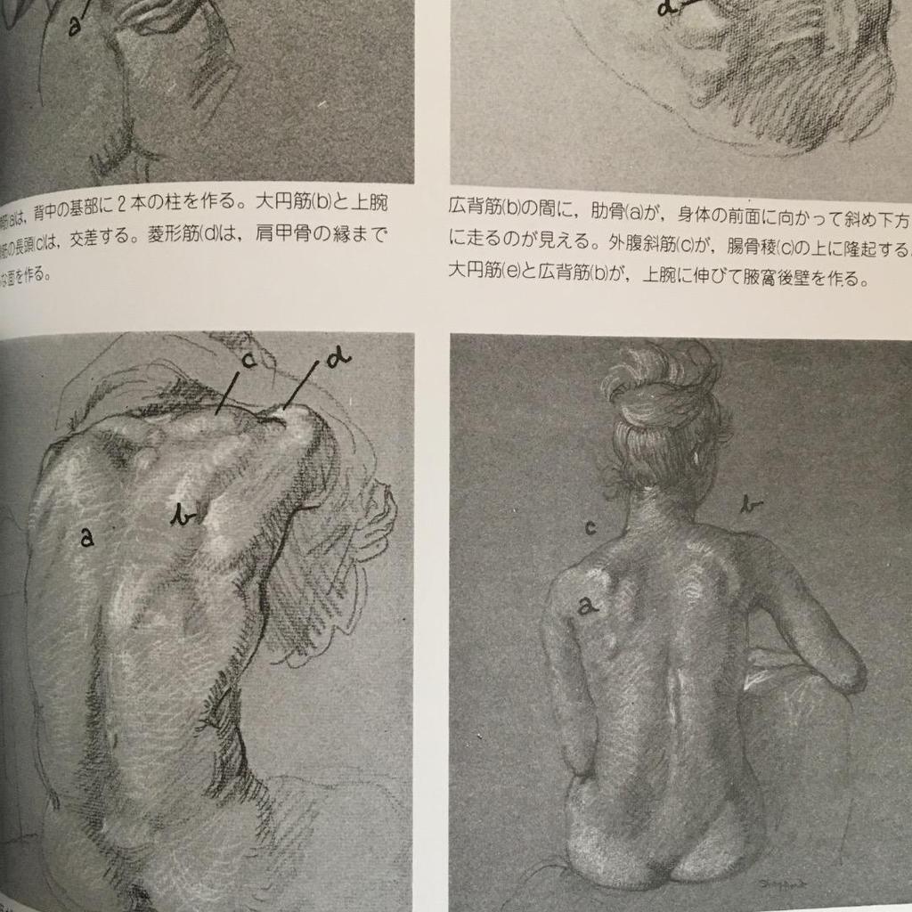 [ИСПОЛЬЗОВАННЫЙ] Рисунок фигуры 430 Разрезы Структура Основная схема скелета Объяснение Иллюстрация Обнаженная натура