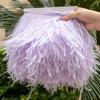 Feather1Meter Отделка из страусиных перьев 10-15/15-18/18-22 см Перья Бахрома Лента для Домашней Вечеринки Платья Шитья Свадебного Украшения Высокое Качество