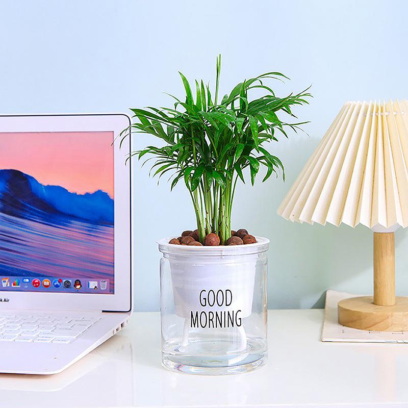 Mini Self Watering Flower Pot Fish Tank Transparent Plastic Plant Pots Self Watering Planter Pot Vase For Home Decoration