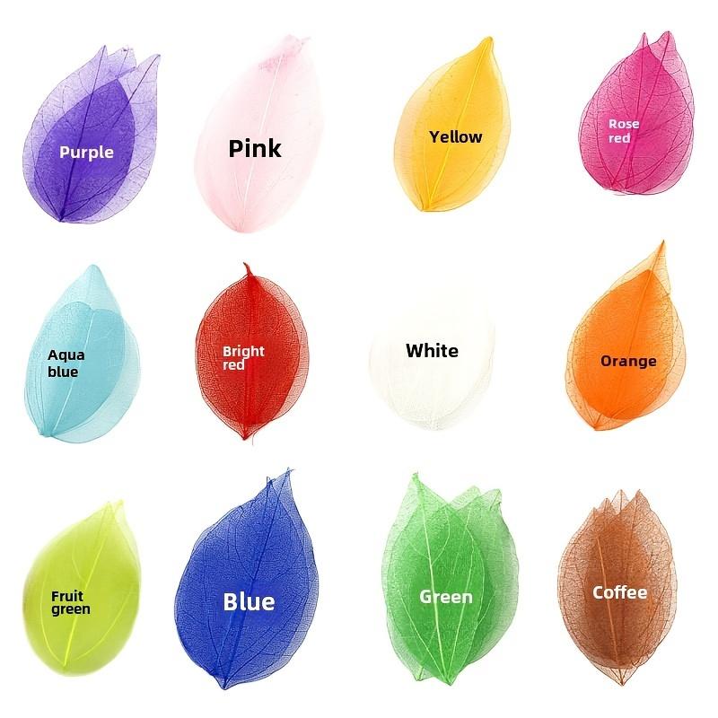 10 шт. Цветные прессованные цветы с прожилками, Декоративные сушеные цветы для искусства, Материалы для рукоделия DIY для изготовления аксессуаров