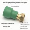 PPR Water Heater Union Pre-Filter Connector: 25 To 1 Inch, 4-6 Points, 32 Straight Elbow, Copper Water Pipe Fittings