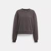 Coach Крем для одежды Crewneck Dye