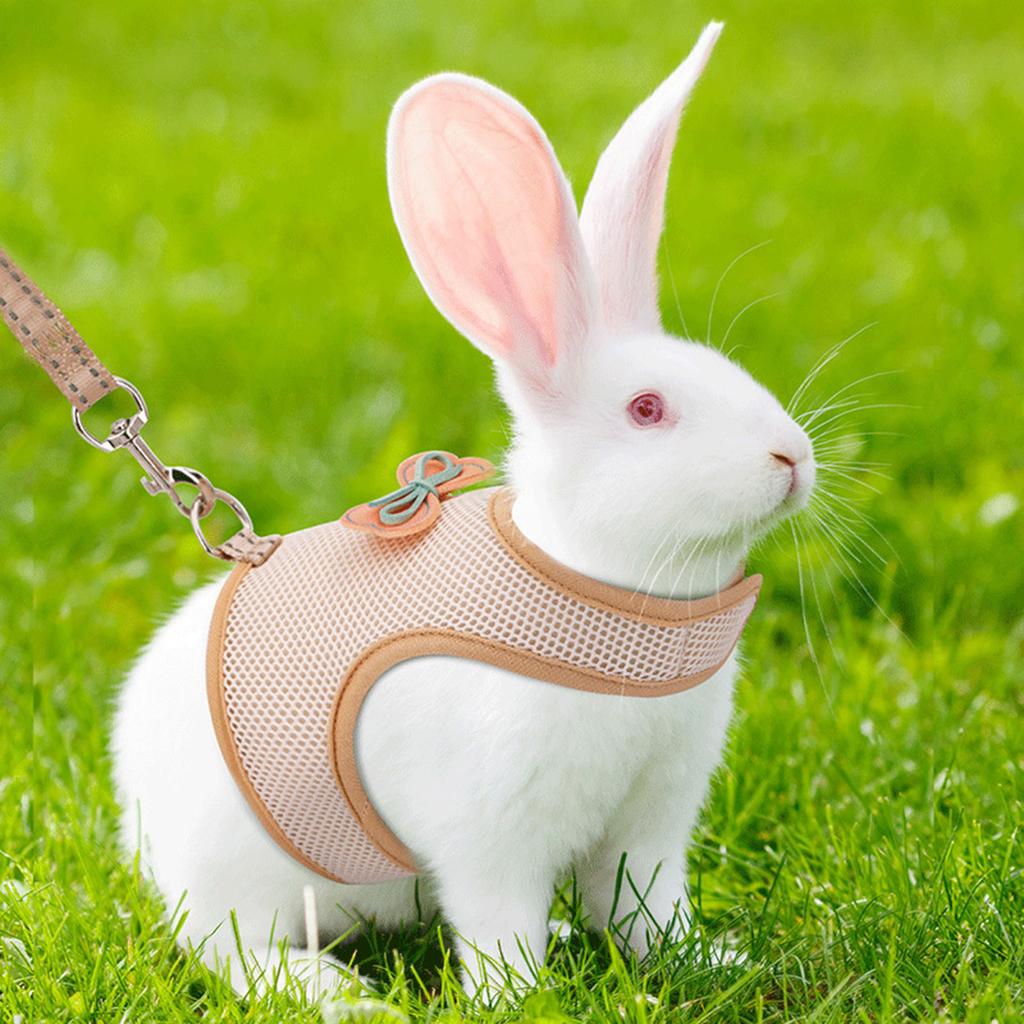 Breathable Mesh Harness and Leash Set for Rabbits Ferrets with Adjustable Size for Various Season Small Animal Supply