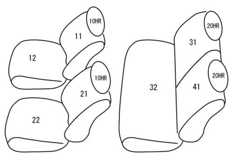 Clazzio seat full set for Jimny JB64W and Jimny Sierra JB74W Clazzio Ivory x Brown covers, (H30 (2018)/7~), Line, [43ESA6015VN]