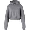 Originals Crop Hoodie Acid-Wash Letter Logo Embroidered Pullover Long Sleeve Sweatshirt Women Hoodies Gray IW5492