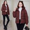 2025 повседневная пуховая хлопковая куртка женская однотонная утолщенная маленькая хлопковая куртка с капюшоном свободная стеганая куртка куртка