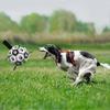 Dog Toys Soccer Ball Dog Outdoor Training Soccer Pet Bite Chew Balls For Dog Aggressive Chewer