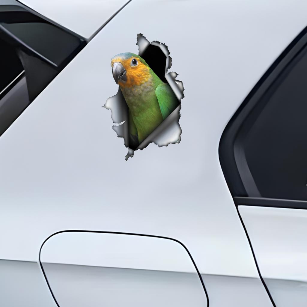 Красивая 3D-наклейка на автомобиль Parrot, забавная водонепроницаемая наклейка для автомобилей, грузовиков, мотоциклов, стен, окон, материала ПВХ