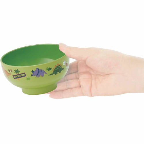 Skater Painted Soup Bowl Dinosaur N6