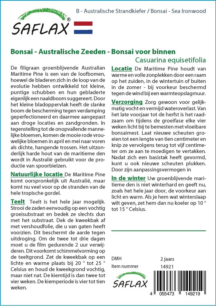 SAFLAX Бонсай - Sea Ironwood - 200 семян - Casuarina equisetifolia