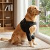 Adjustable Dog Shoulder Brace Self-Heating Dog Joint Protection Sleeve  Walking