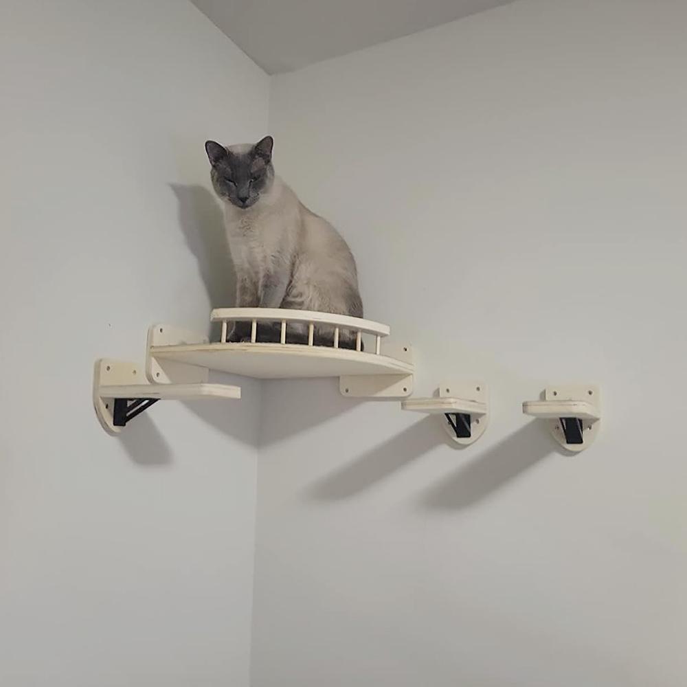 Установленный стеной гамак угла кота мебели с набором 4 шагов для крытых кошек