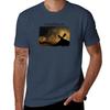 Valhalla Tshirt Relaxed Fit Casual Short Sleeve Top