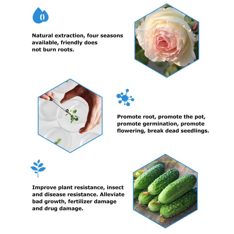 Жидкая подкормка для растений 50 мл Жидкая подкормка для растений Домашние растения Органическое универсальное решение Богатое питательными веществами удобрение для растений в помещении