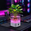 Colorful Crystal Aquarium Night Light Color Changing LED Ambient Light  Tabletop Display