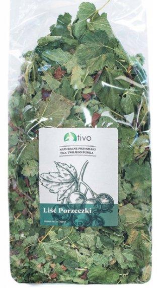 Tivo | Porzeczka Liść 100G - Porzeczka Liść 100G