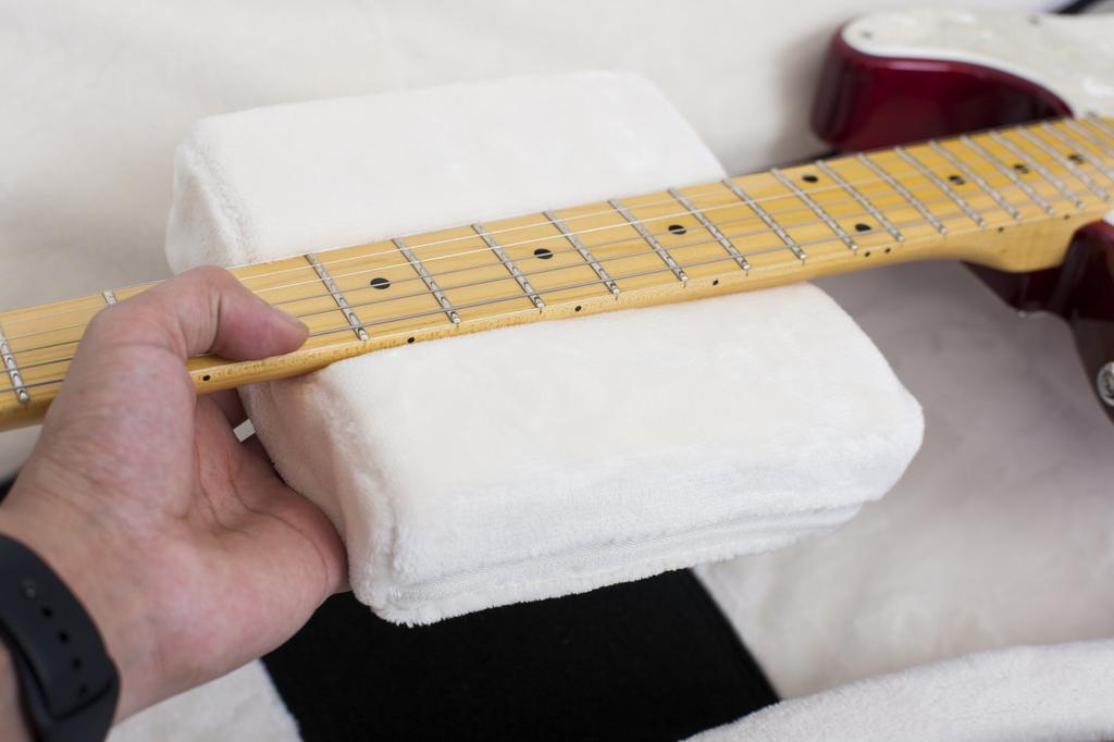 GATOR Чехол для электрогитар серии Pro-Go с дождевиком (G-PG ЭЛЕКТРИЧЕСКИЙ)