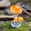 Realistic Mushroom Toadstool Miniature Ornament Fairy Garden Terrarium Dollhouse Decor for Bonsai Terrariums